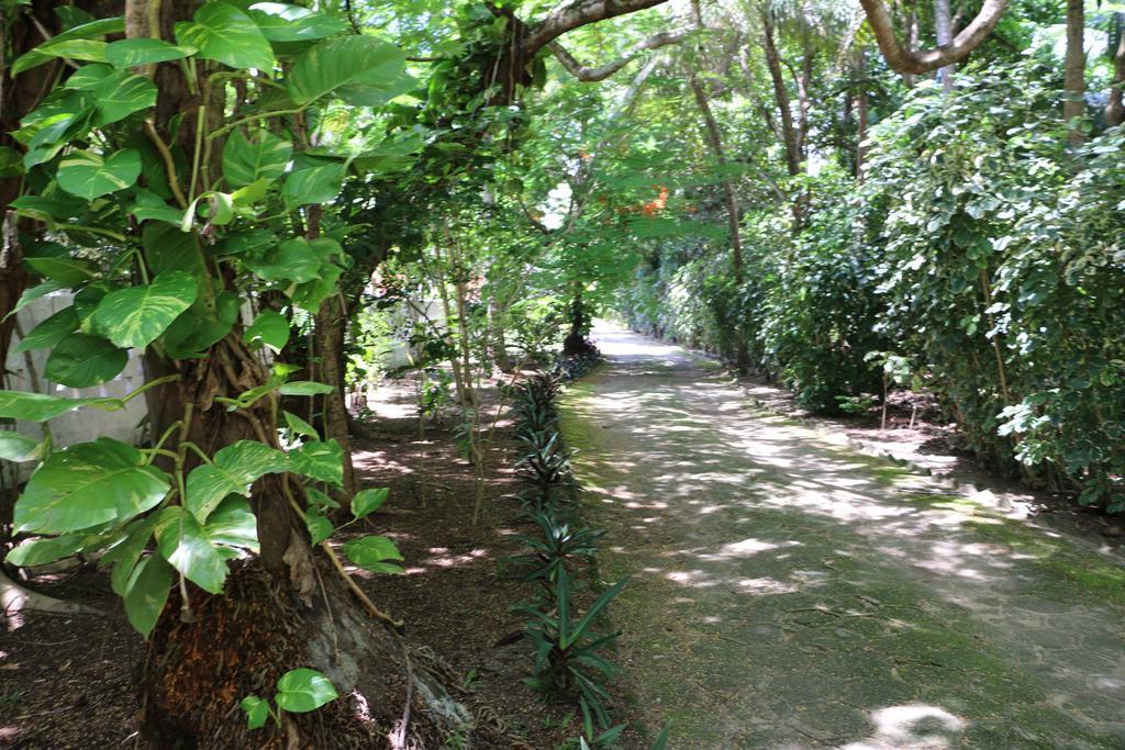 Pousada Ponta De Mangue Maragogi Exterior photo